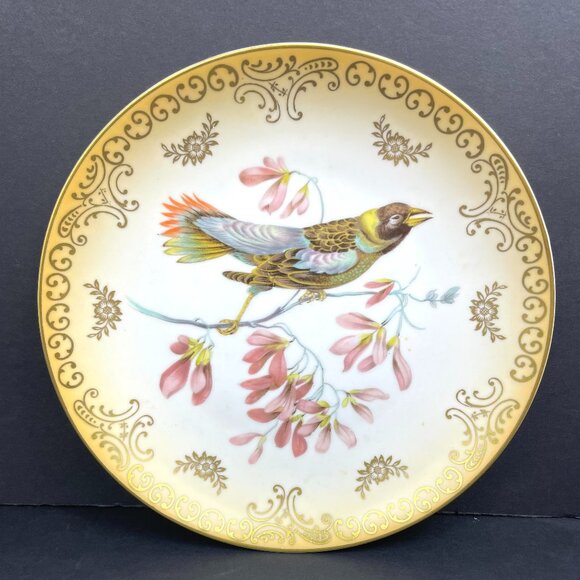 Set 2 Mitterteich Bavaria Germany 7.5" Decorative Bird Plates with Gold Accents - Picture 9 of 12